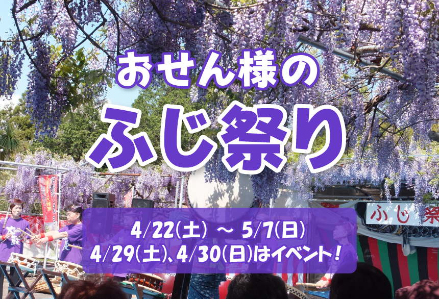 終了】おせん様のふじ祭り - 匝瑳市観光協会