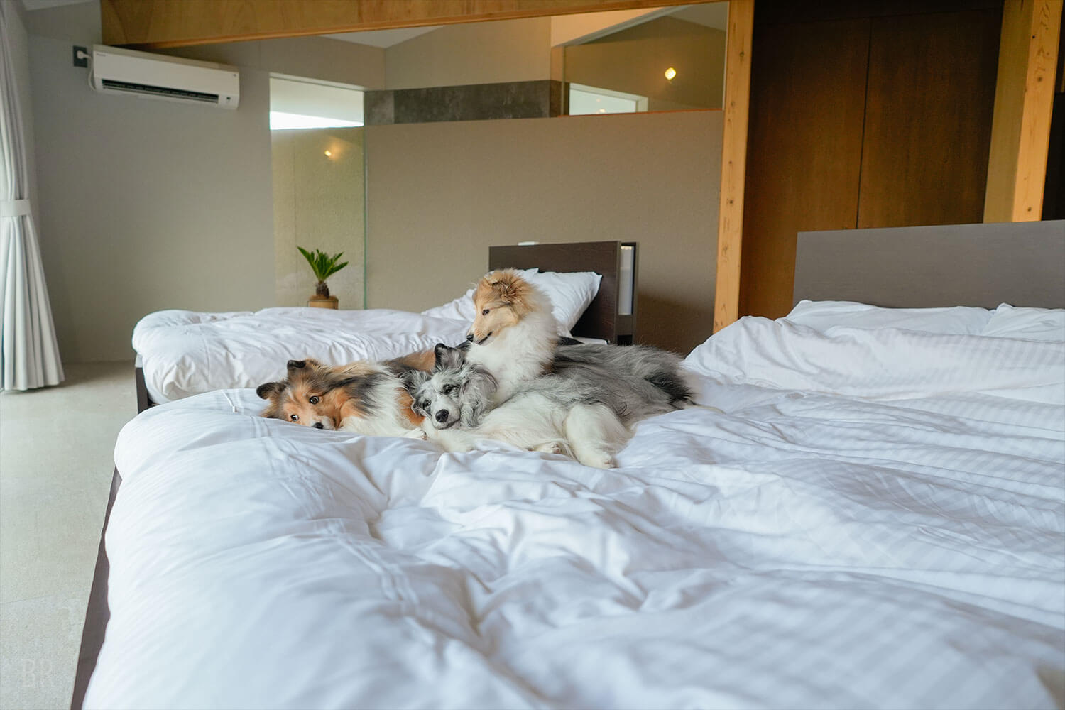 落ち着きのある客室